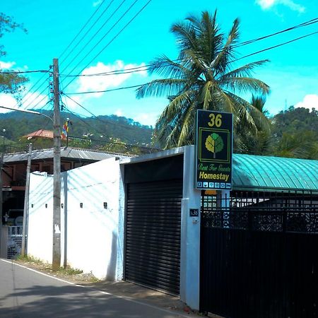 Rest For Guests - Homestay Deiyannewela Exterior photo